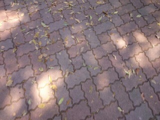 (untitled)